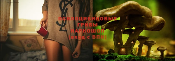МДПВ Абаза